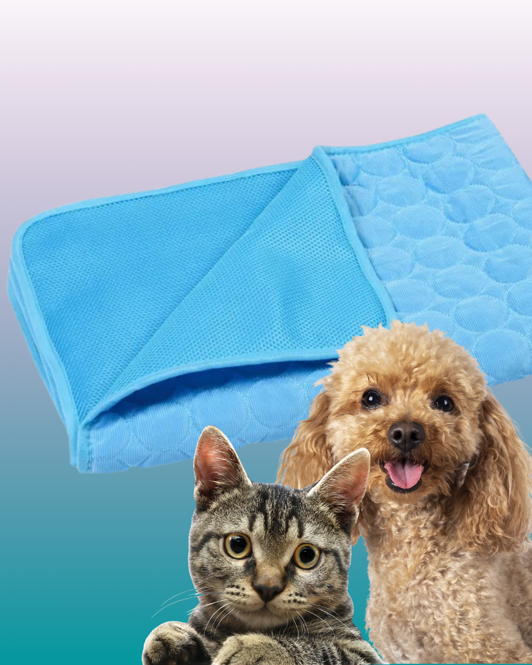 ChillPaws™ CoolMat